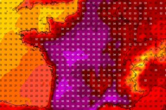 canicule agriculture sécheresse