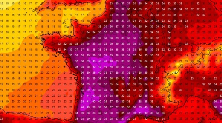 canicule agriculture sécheresse