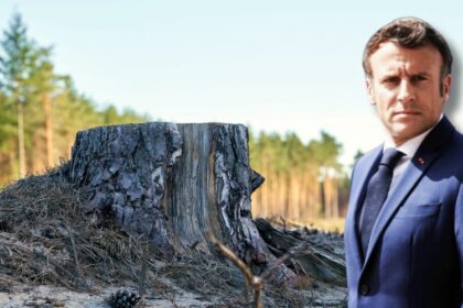 macron écologie recul écocide