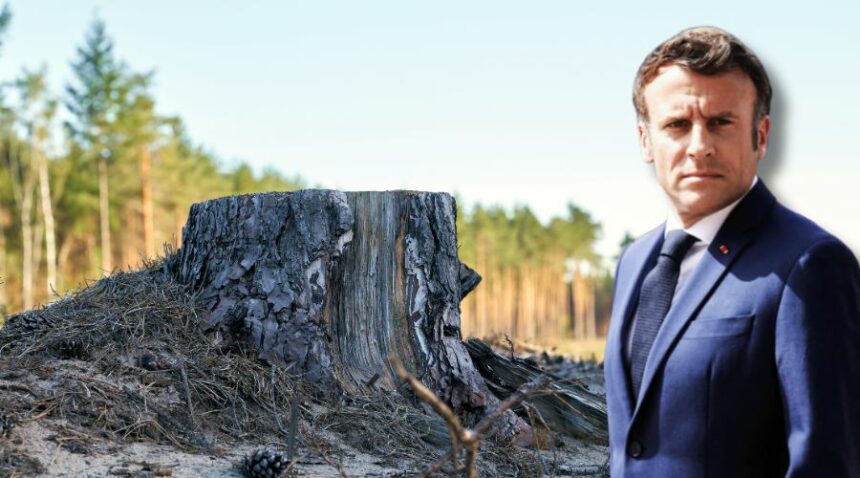 macron écologie recul écocide