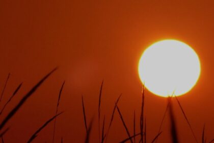 canicule réchauffement climatique