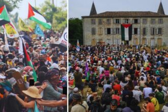 turboteuf A69 Palestine écologie soulèvements de la terre